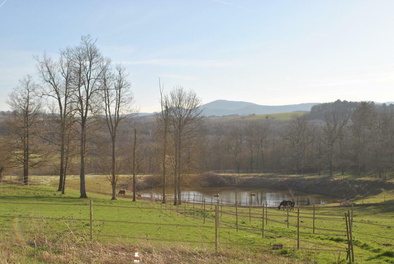 Bed and Breakfast Domaine De La Poyat Legny Экстерьер фото